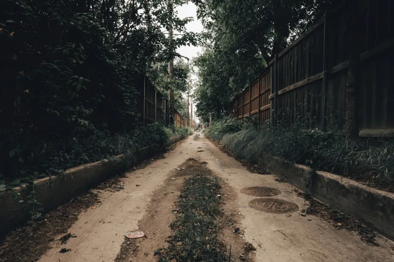 Roots After Dark: The Secret Plant Network Quietly Turning America's Dead Zones Green
