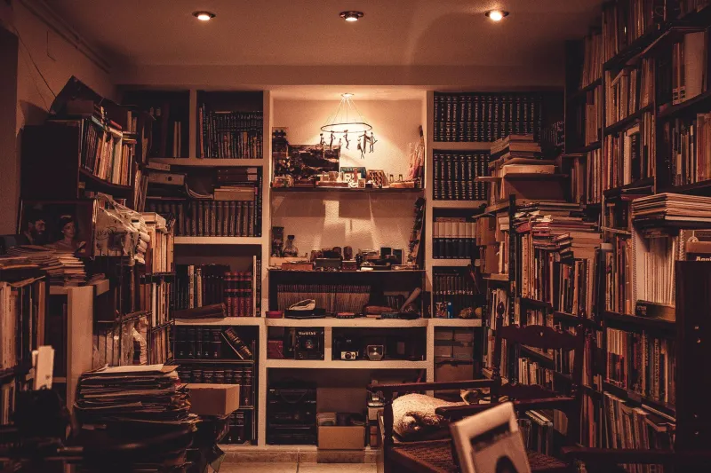 Saving the Stacks: The After-Hours Book Rescuers Refusing to Let America's Libraries Die Quietly